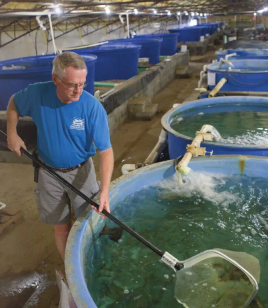 Fish Hatchery / Fish Farming